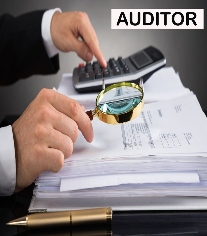 Auditor